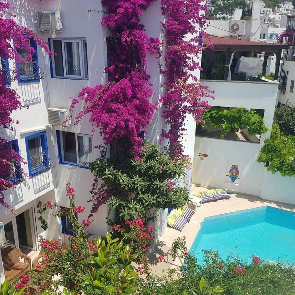 Eskici Hostel Bodrum Extérieur photo
